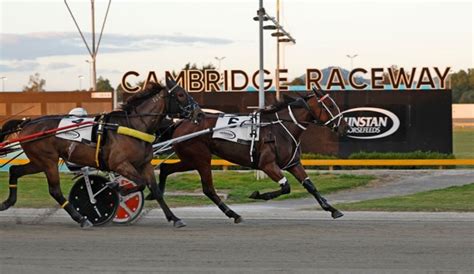 hrnz.co.nz fields|races today nz harness.